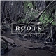 Ages - Roots