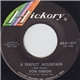 Don Gibson - A Perfect Mountain / Would You Believe Me